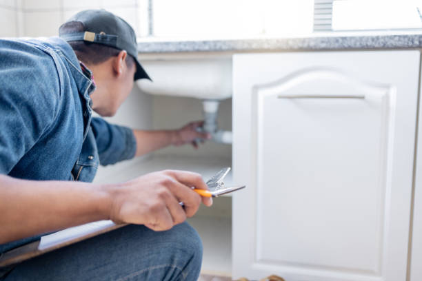 Best Local Plumber Services  in Thomasboro, IL