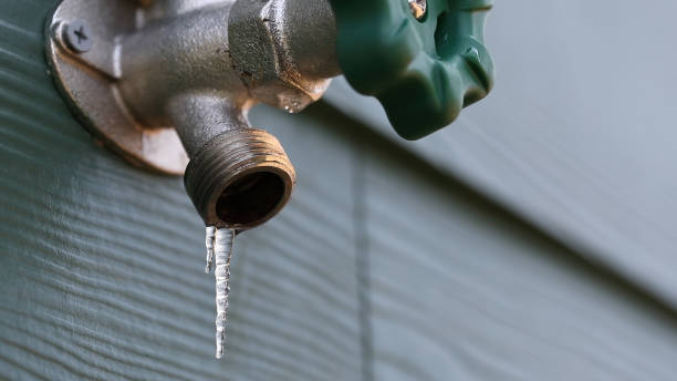 Best Plumbing Repair Near Me  in Thomasboro, IL